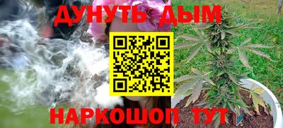 гашик Гай