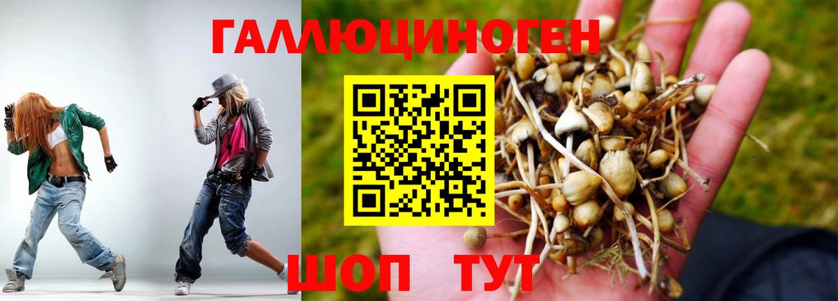 Псилоцибиновые грибы прущие грибы Канск