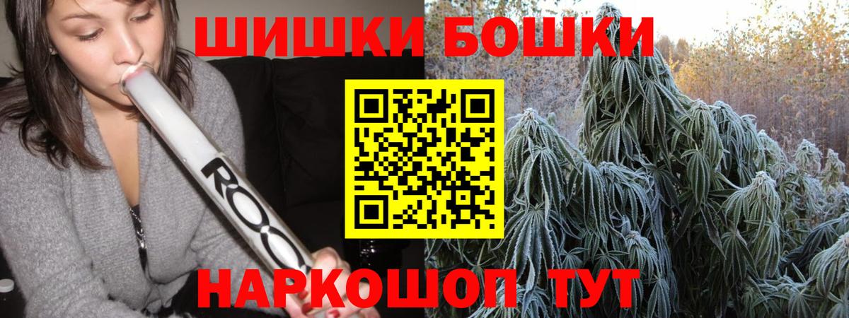 Бошки Шишки семена Канск